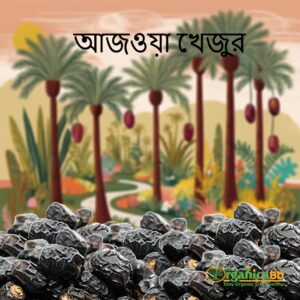 প্রিমিয়াম আজওয়া খেজুর