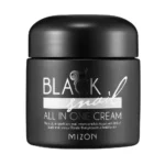 MIZON Black Snail All in One Cream