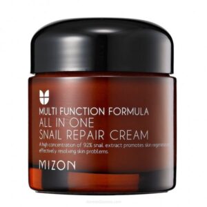 MIZON All In One Snail Repair Cream 75ml